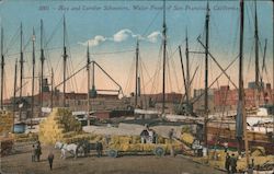 Hay and Lumber Schooners, Water Front San Francisco, CA Postcard Postcard Postcard