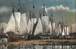 Drying Sails Postcard