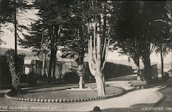 The Alameda - Presidio Postcard