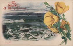 California Poppies and The Pacific Ocean: To Wish You a Merry Christmas Postcard Postcard Postcard