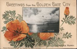 Greetings from Golden Gate City Postcard