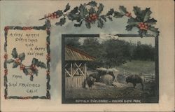 Buffalo Enclosure - Golden Gate Park San Francisco, CA Postcard Postcard Postcard