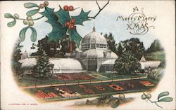 Conservatory, Golden Gate Park Postcard