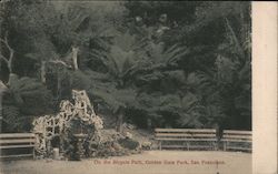 On the Bicycle Path - Golden Gate Park Postcard