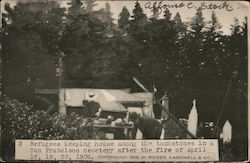 Refugees Keeping House Among the Tombstones San Francisco, CA Postcard Postcard Postcard