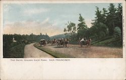 The Drive, Golden Gate Park Postcard