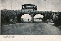 Golden Gate Park Postcard