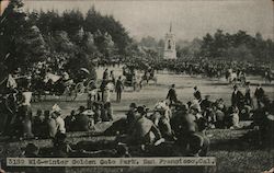 Mid-Winter Golden Gate Park Postcard