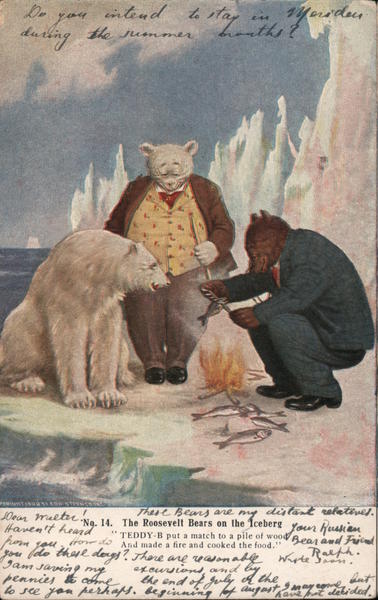 The Roosevelt Bears On The Iceberg Theodore Roosevelt Postcard