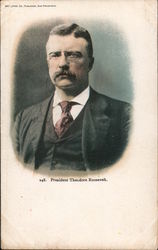 President Theodore Roosevelt Postcard