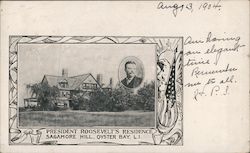 President Roosevelt's Residence | Sagamore Hill, Oyster Bay, L.I. Theodore Roosevelt Postcard Postcard Postcard