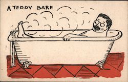 A Teddy Bare Theodore Roosevelt Postcard Postcard Postcard