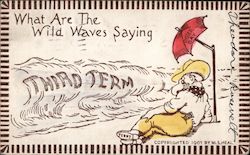 What Are The Wild Waves Saying...Third Term Theodore Roosevelt Postcard Postcard Postcard