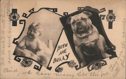 Both Are Bully Bull Moose Party Postcard