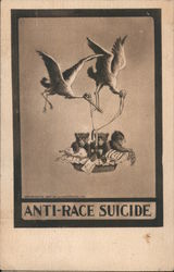 Anti-Race Suicide Theodore Roosevelt Postcard Postcard Postcard