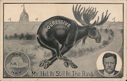 Progressive The Bull Moose Party My Hat Is Still In the Ring The T.R. Hat Theodore Roosevelt Postcard Postcard Postcard