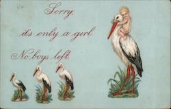 Storks: Sorry, it's only a girl. No boys left. Postcard