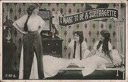 I want to be a Suffragette Women's Suffrage Postcard Postcard Postcard