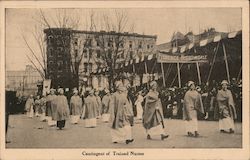 Contingent of Trained Nurses Women's Suffrage Postcard Postcard Postcard