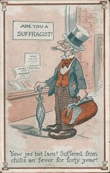 Are You a Suffragist? - A Man Stopped on the Sidewalk to Read a Sign Postcard