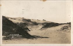 View of Sand Dunes Postcard