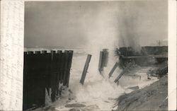 Storm Damage San Francisco, CA Postcard Postcard Postcard