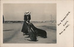 Woman feeding Seals San Francisco, CA Postcard Postcard Postcard