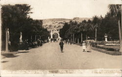 Palm Avenue, Sutro Heights San Francisco, CA Postcard Postcard Postcard