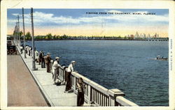 Fishing From The Causeway Postcard