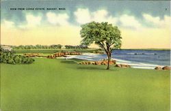 View From Lodge Estate Postcard