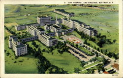 City Hospital And Grounds Buffalo, NY Postcard Postcard