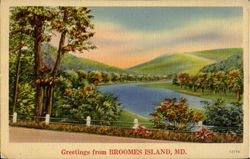 Greetings From Broomes Island Postcard