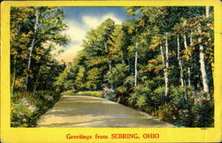 Greeting From Sebring Postcard