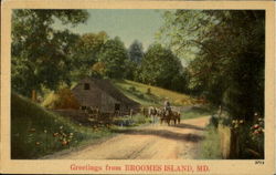 Greetings From Broomes Island Postcard