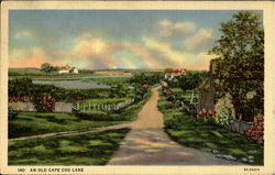 An Old Cape Cod Lane Massachusetts Postcard Postcard