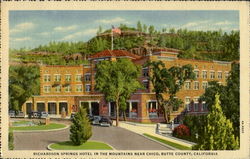 Richardson Springs Hotel Chico, CA Postcard Postcard