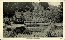 The Bridge At Cooksburg Pennsylvania Postcard Postcard