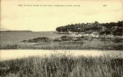 View Of Back Shore At East End Postcard