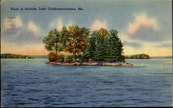 View Of Islands Lake Postcard