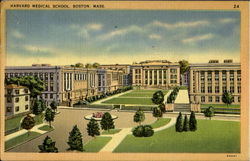 Harvard Medical School Boston, MA Postcard Postcard