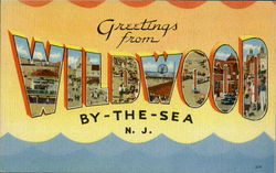 Greetings From Wildwood Postcard