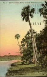 On The Anclote River St. Petersburg, FL Postcard Postcard