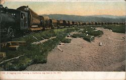 A Logging Train Hauling a California Big Tree to the Mill Postcard Postcard Postcard