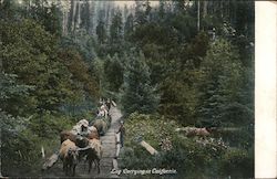 Log Carrying in California Postcard Postcard Postcard