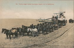 Twenty-eight horse Harvester, Ranch life in California Postcard