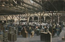 Fig Packing House in California Postcard