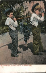 Native Sons and Native Fruit of the Golden West California Postcard Postcard Postcard