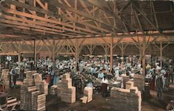 Fig Industry - A Packing House Postcard