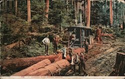 Logging with Donkey Engine California Postcard Postcard Postcard