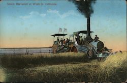 Steam Harvester at Work in California Postcard